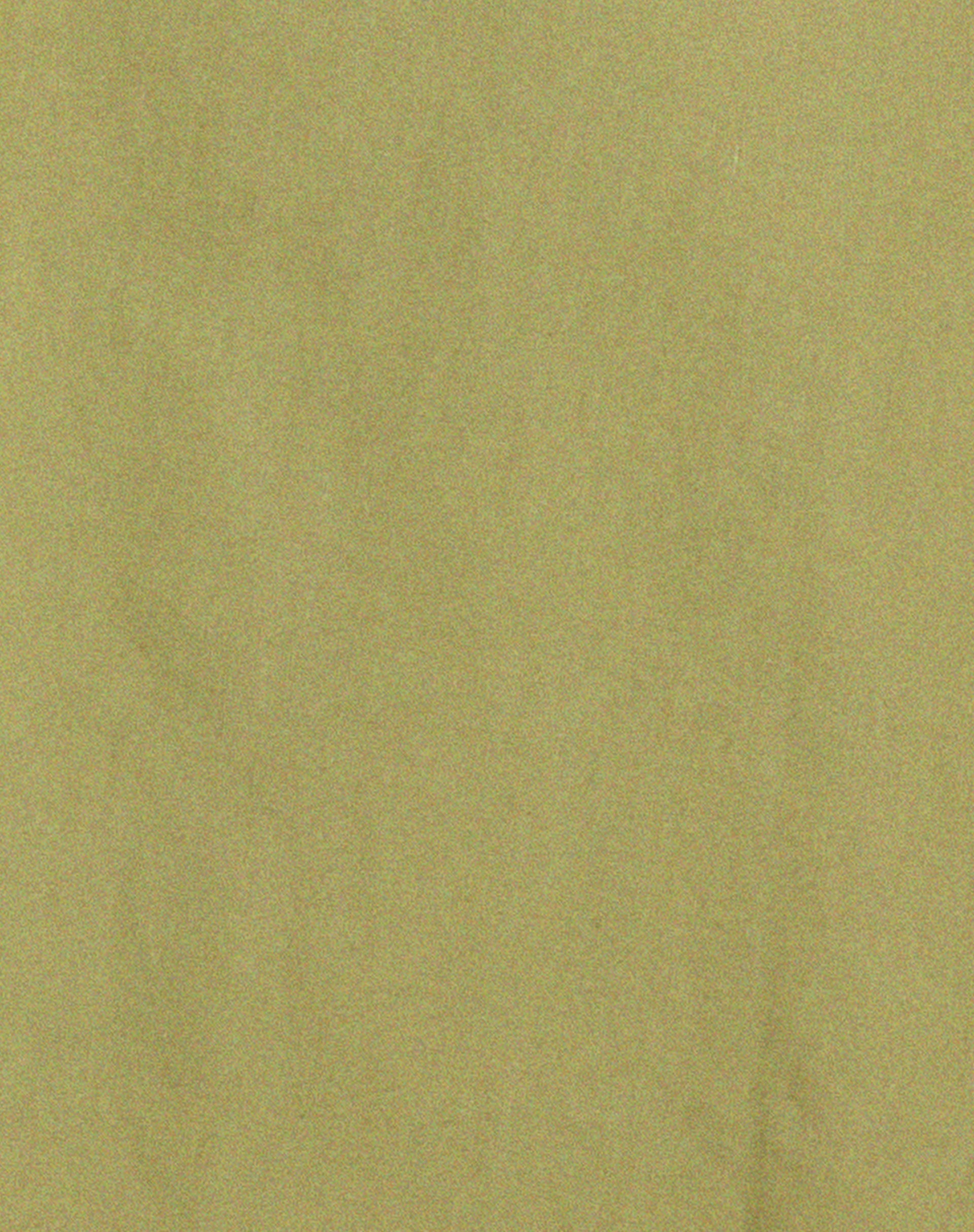 Gane Shirt in Seafoam Green